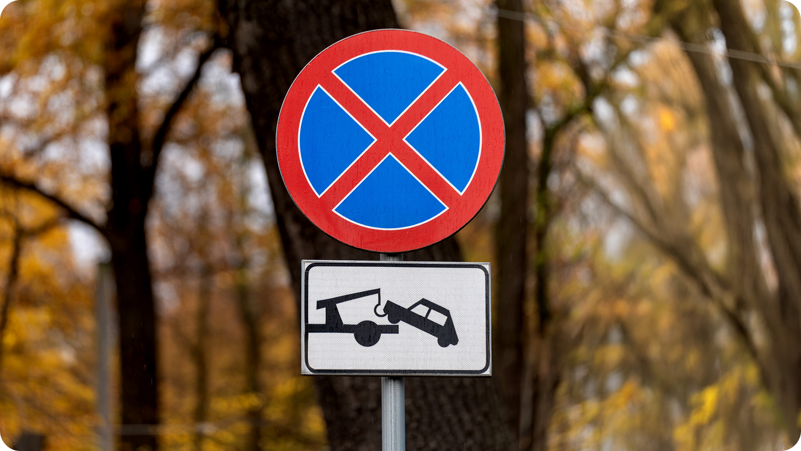 zakaz zatrzymywania się